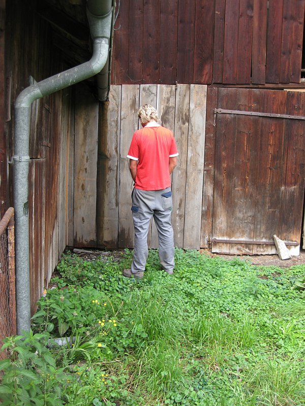 bild52