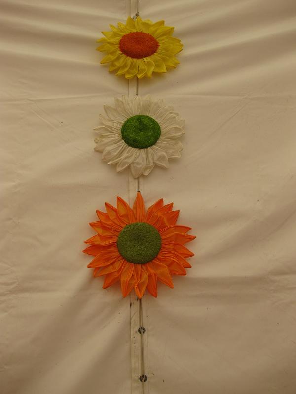 bild26