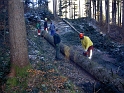 bild9
