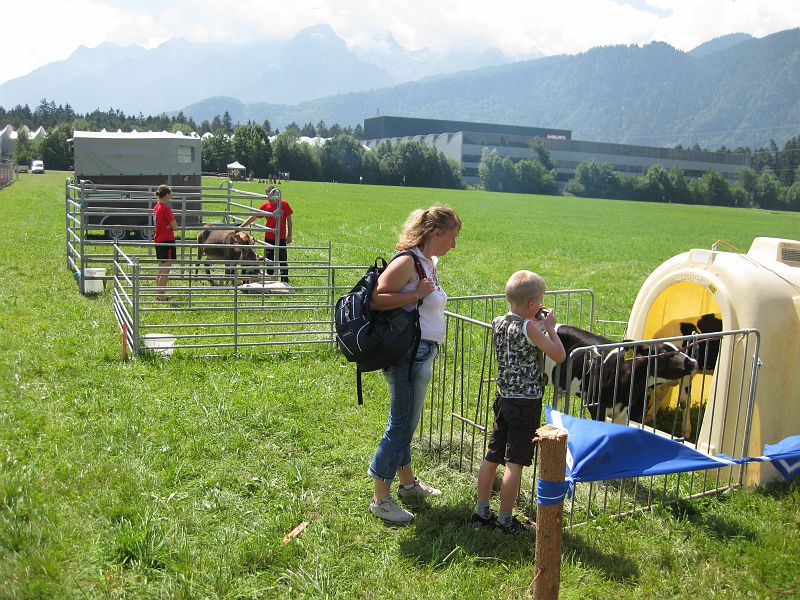 bild38