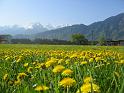 thueringen_32