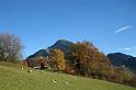 thueringen_7