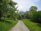 Thringen
