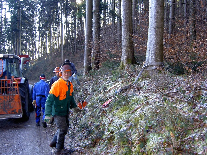 bild12