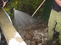 bild12