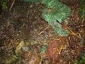 bild13