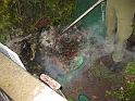 bild3