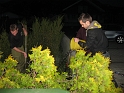 bild5