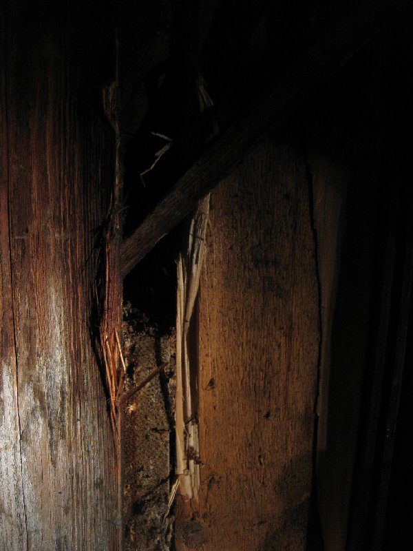 bild7