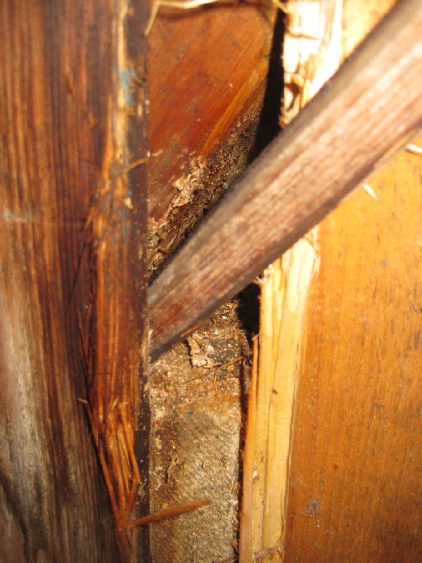 bild9