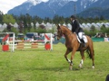 Reitturnier und Preisjassen